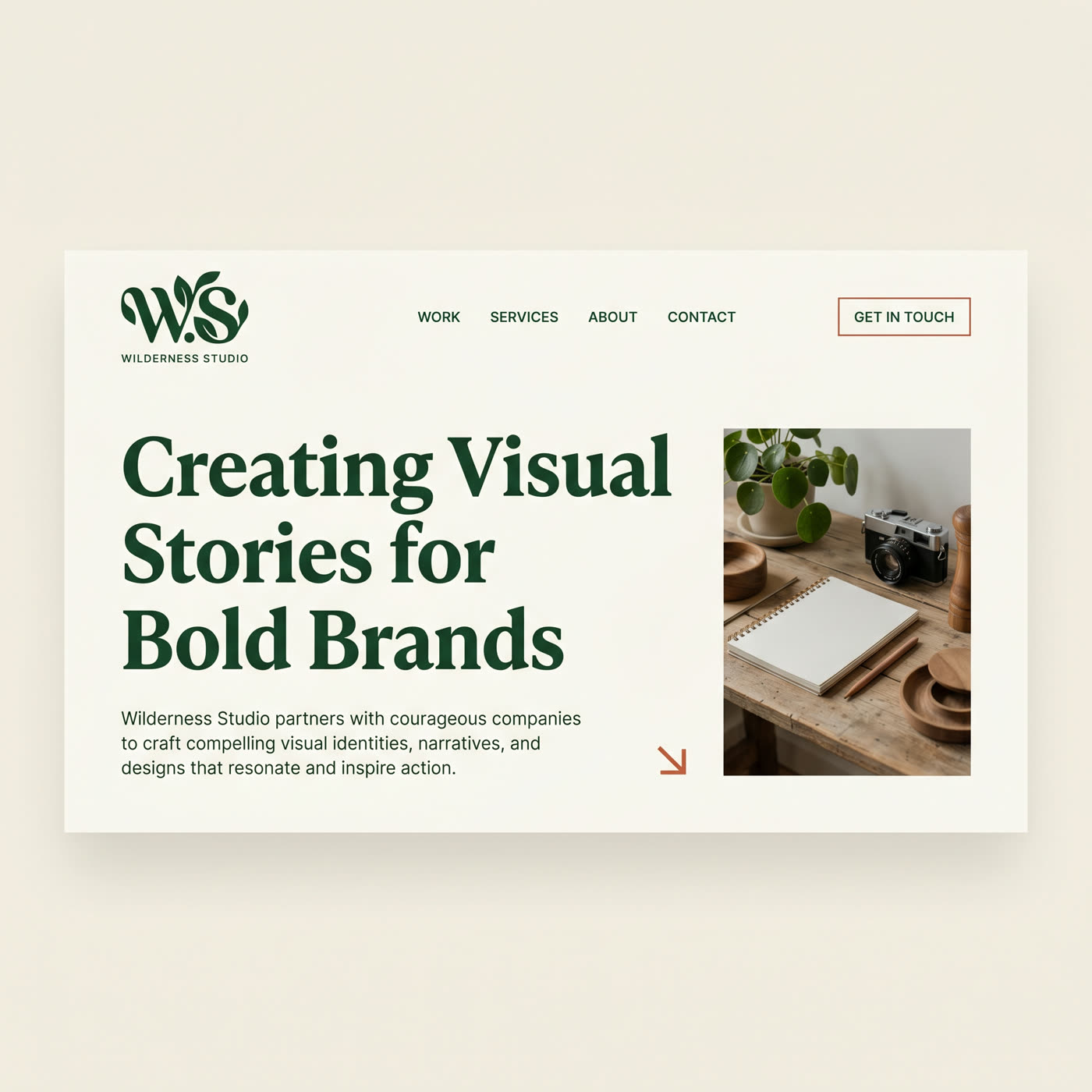Wilderness Studio Website project visual